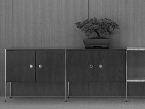 Black-and-white image of an H Frame Storage credenza positioned against a wall, with a small bonsai tree atop one module.