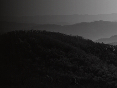 Black-and-white image of rolling tree-covered hills.