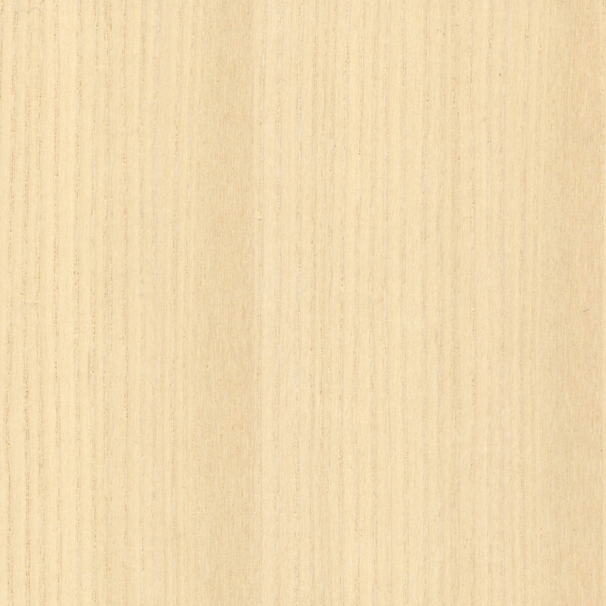 A swatch of White Quarter Cut Ash ASHT001 veneer.