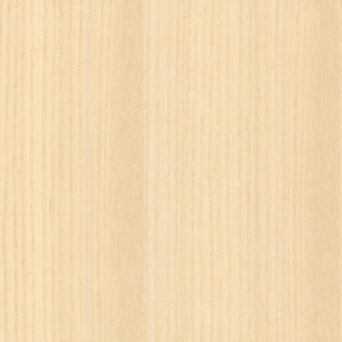 A swatch of White Quarter Cut Ash ASHT001 veneer.