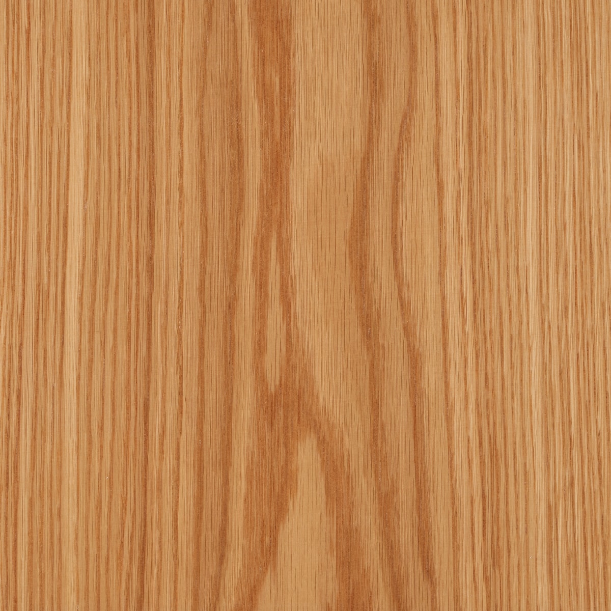 A swatch of Natural Flat Cut Oak OAKT002 veneer.