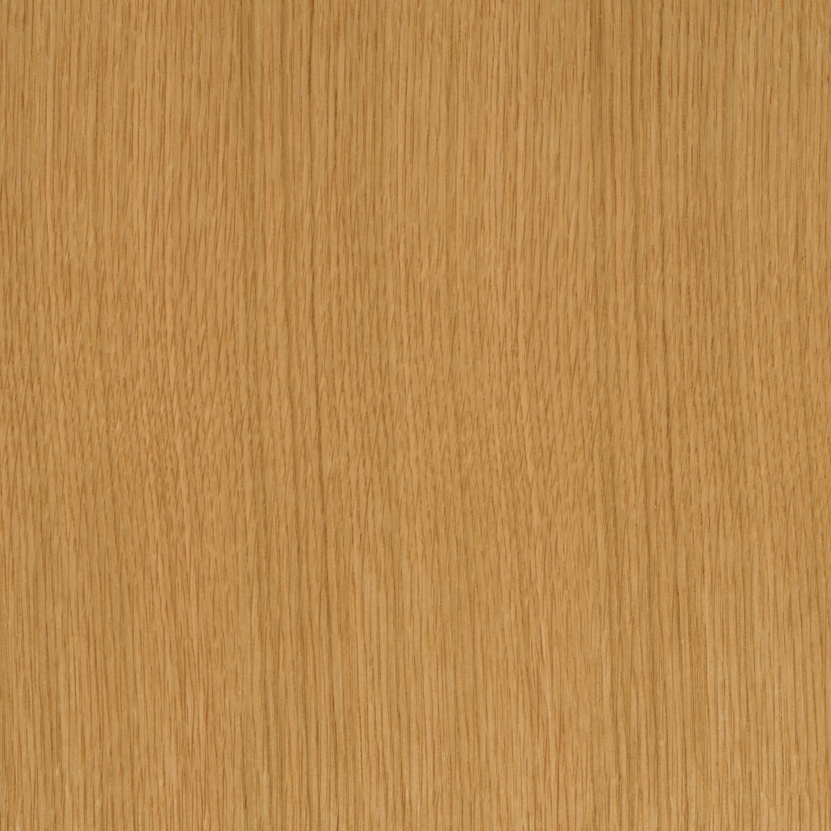 A swatch of Natural Rift Cut Oak OAKT003 veneer.