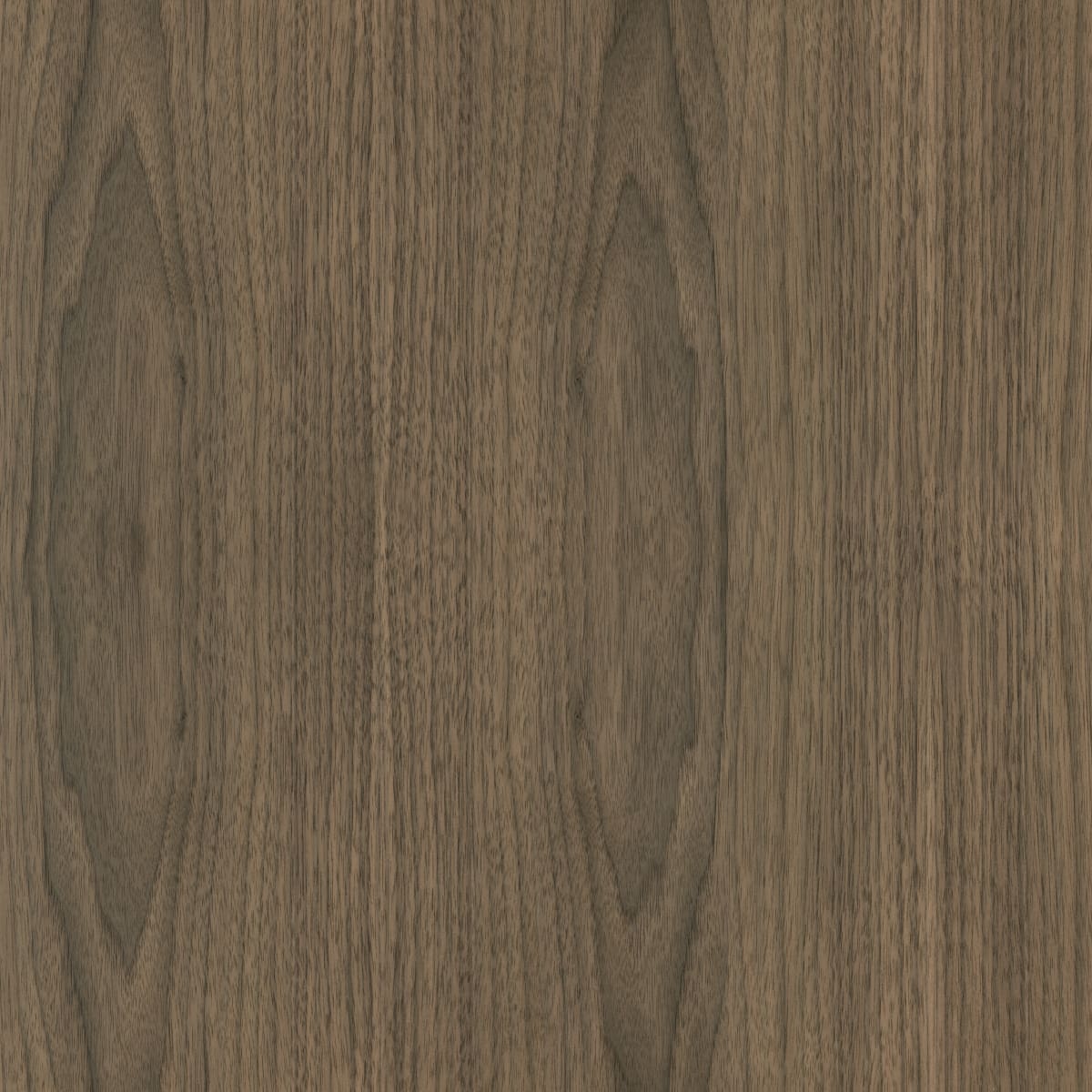 A swatch of Natural Flat Cut Walnut WALT004 veneer.