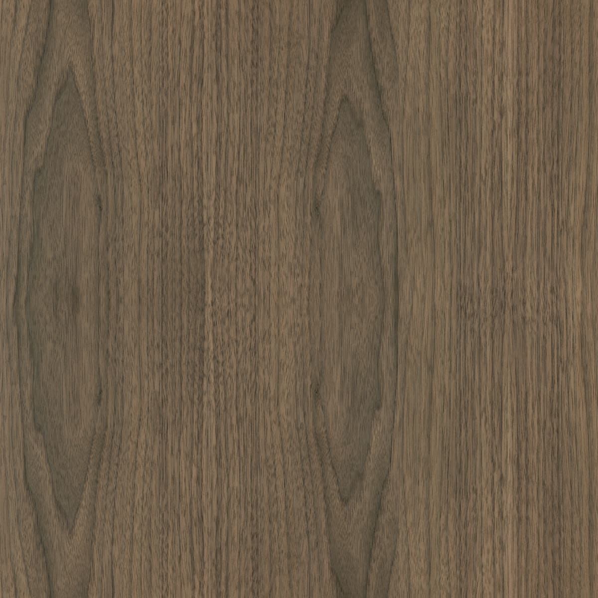 A swatch of Natural Flat Cut Walnut WALT004 veneer.