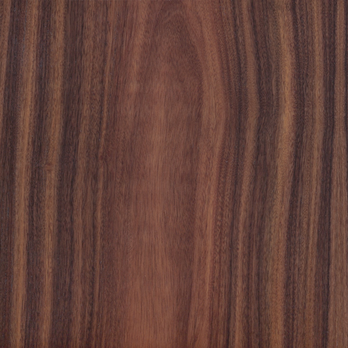 A swatch of Morado DAR veneer.