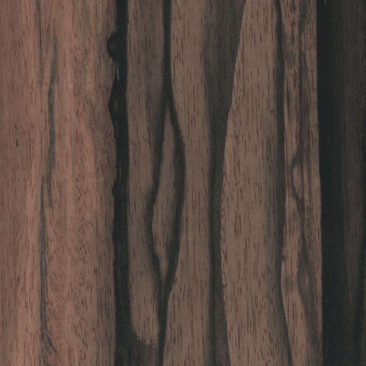 A swatch of Ebony DAE veneer.