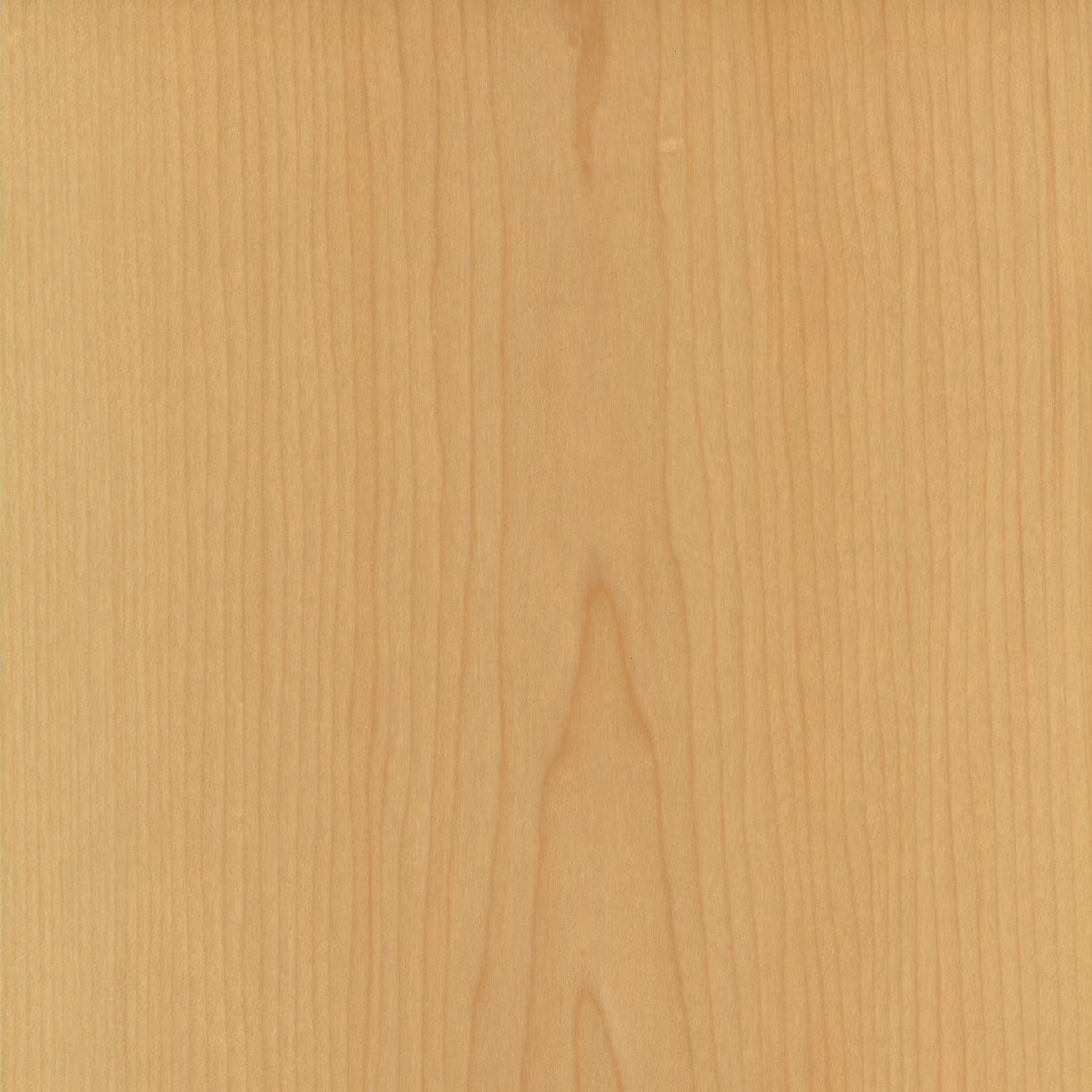 A swatch of Naturall Flat Cut Maple.