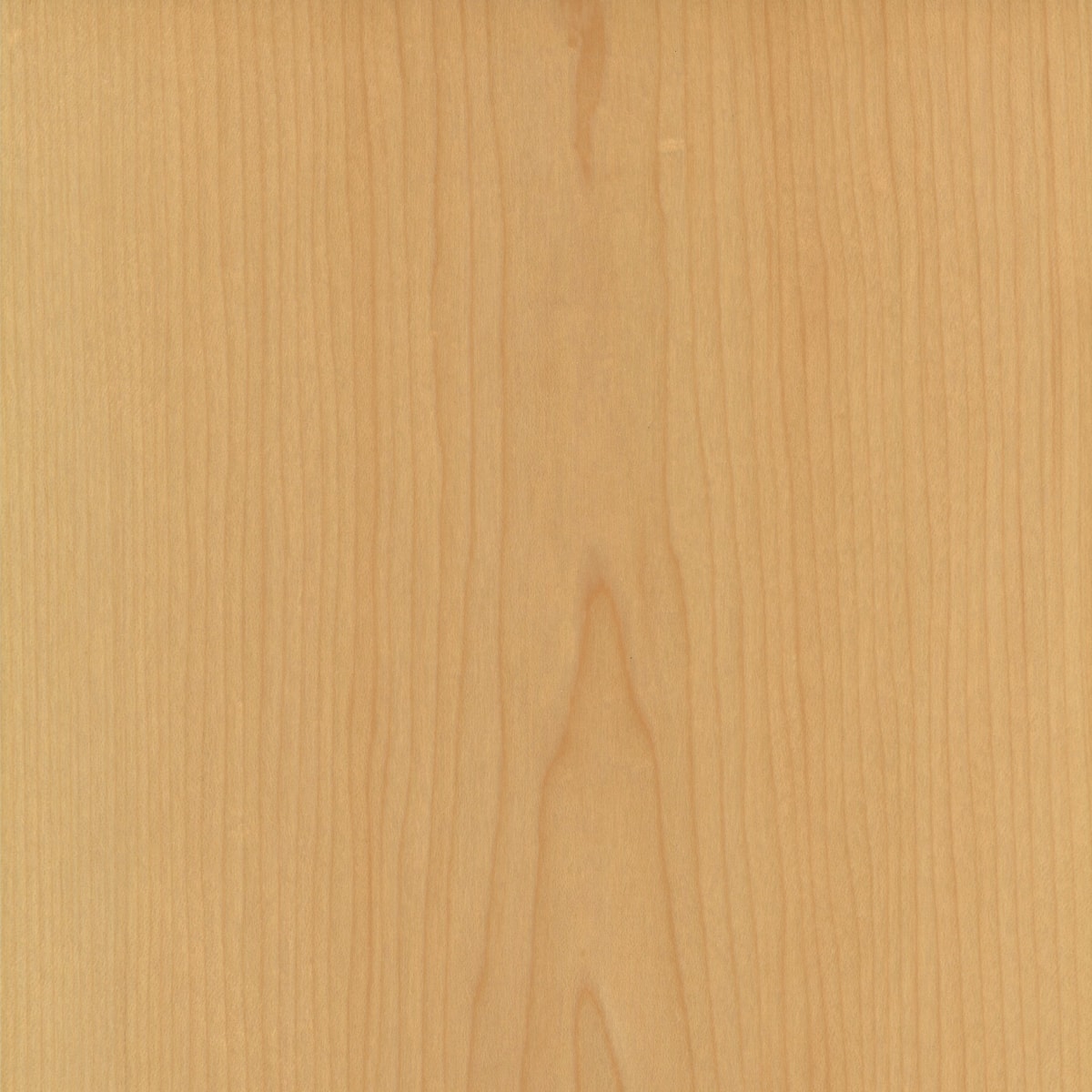 A swatch of Naturall Flat Cut Maple.