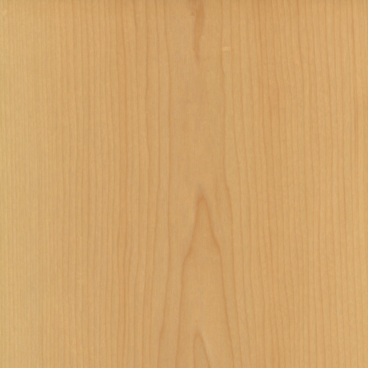 A swatch of Natrural Quarter Cut Figured Sycamore T014 B veneer.