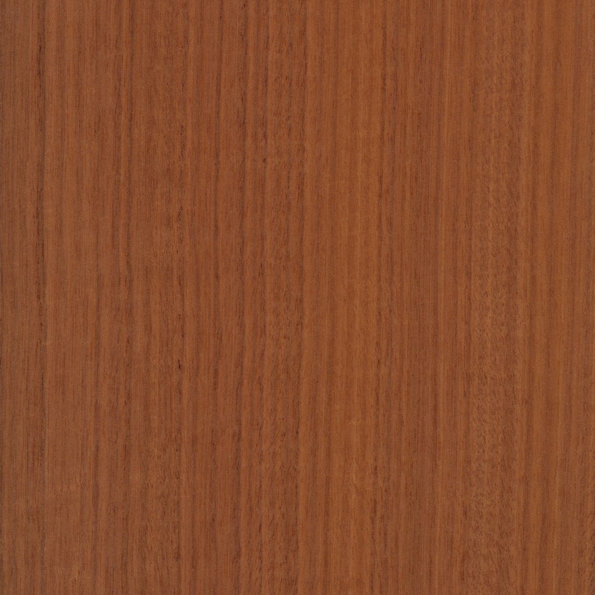 A swatch of Natural Quarter Cut Makore.