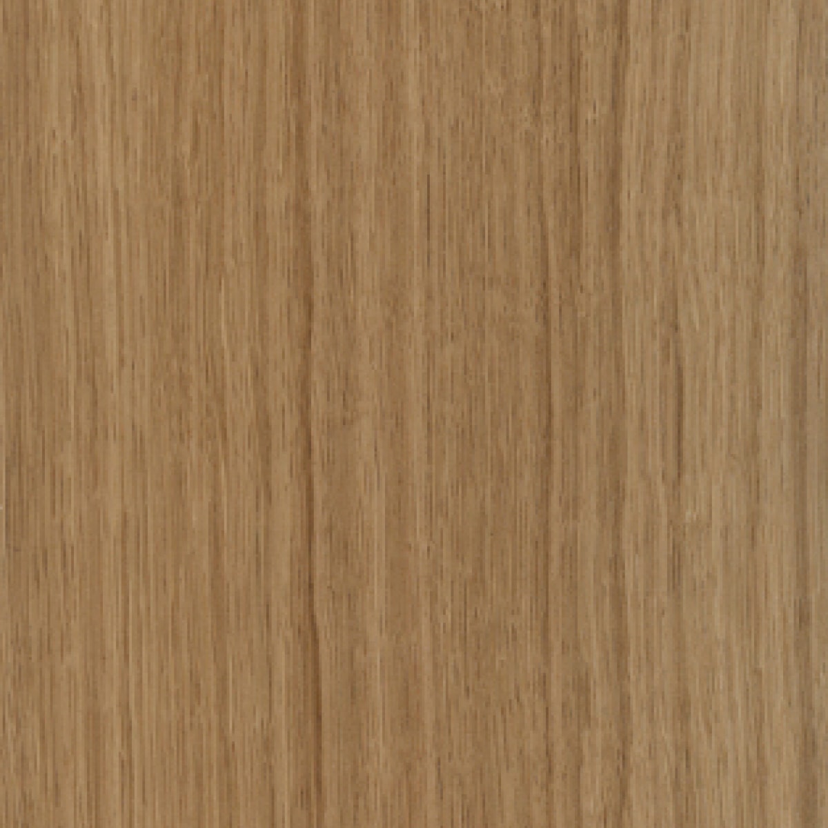 A swatch of Natural Rift Cut European Oak T019 veneer.